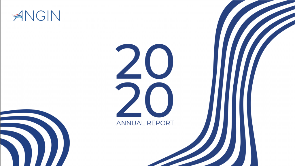 ANGIN Annual Report 2020 - Angin.ID